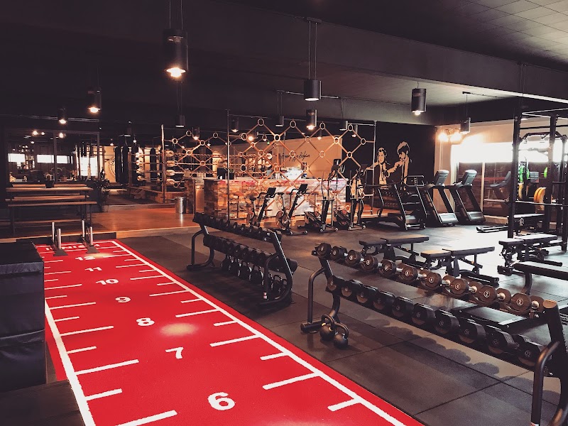 eGym-training bij Brooklyn Gym Schulen in Herk-de-Stad